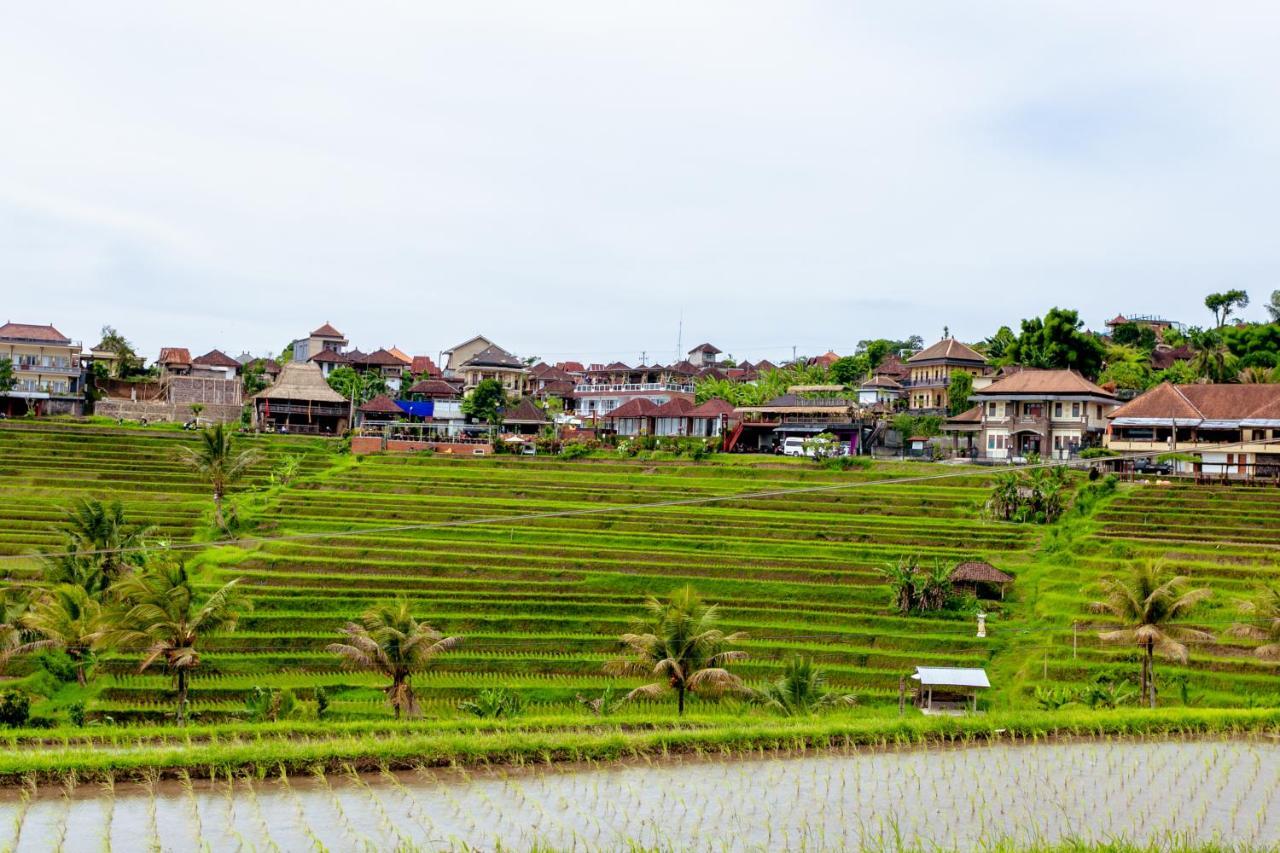 Bhuana Agung Villa And Restaurant Джатілувіг Екстер'єр фото