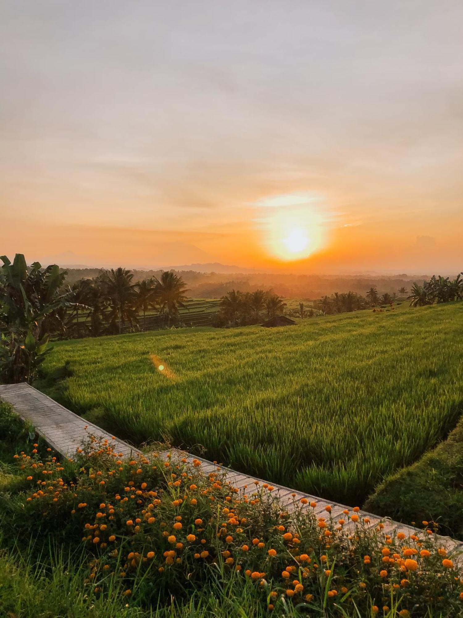 Bhuana Agung Villa And Restaurant Джатілувіг Екстер'єр фото